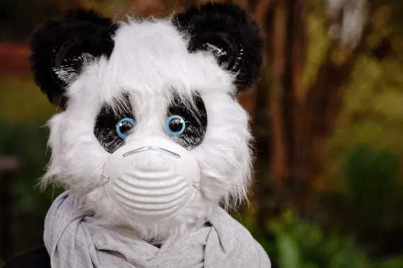 HeySpin Casino Suporte